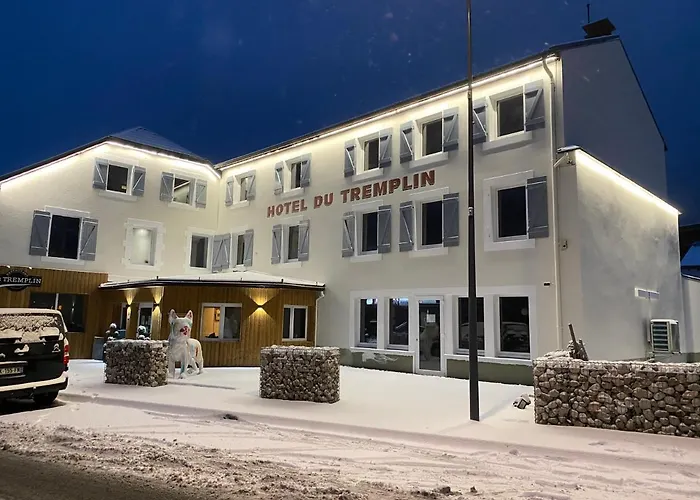 酒店 & Du Tremplin 3*