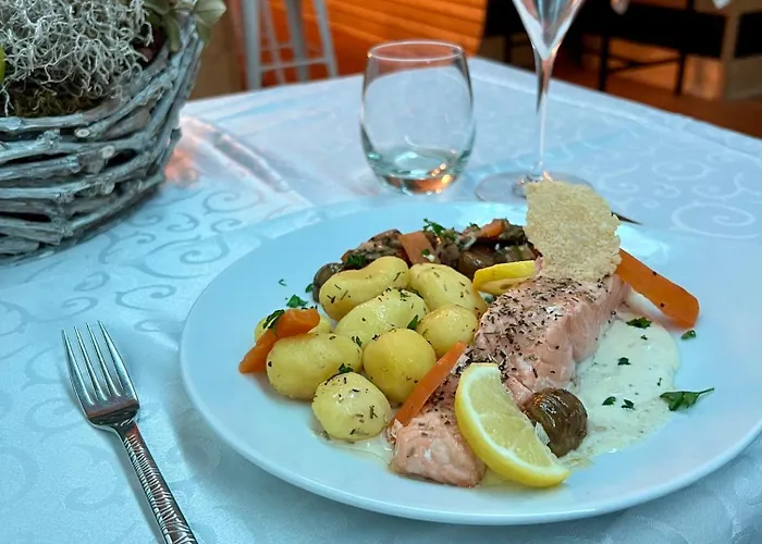 酒店 & Du Tremplin 比桑